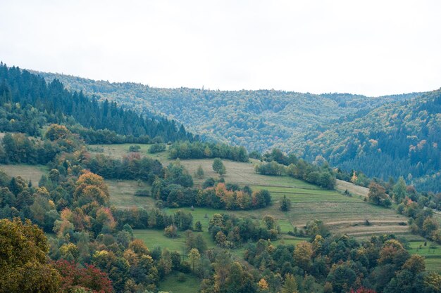 Névoa e nuvens na floresta de montanha