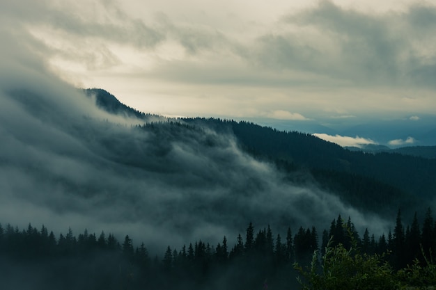 Névoa forte sobre a floresta de montanha, clima dramático nas montanhas.