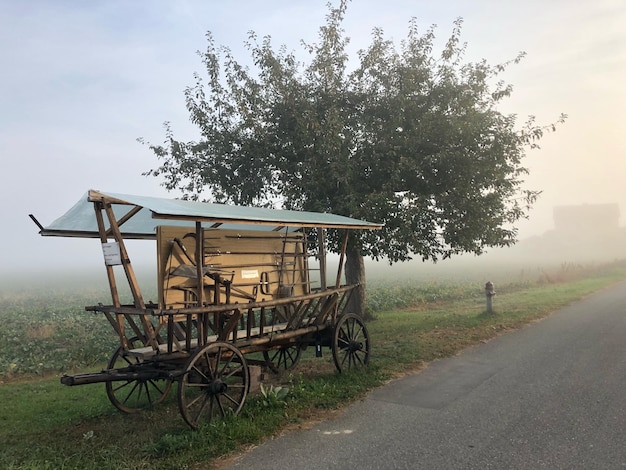 Névoa na estrada no meio do campo contra o céu