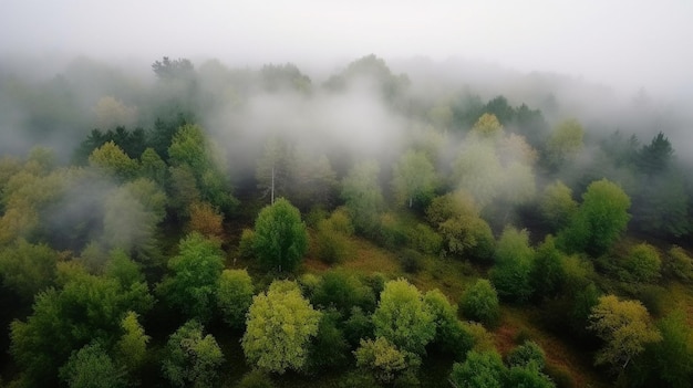 Névoa na vista aérea da floresta IA generativa