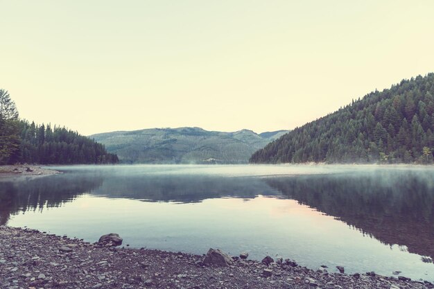 Névoa no lago