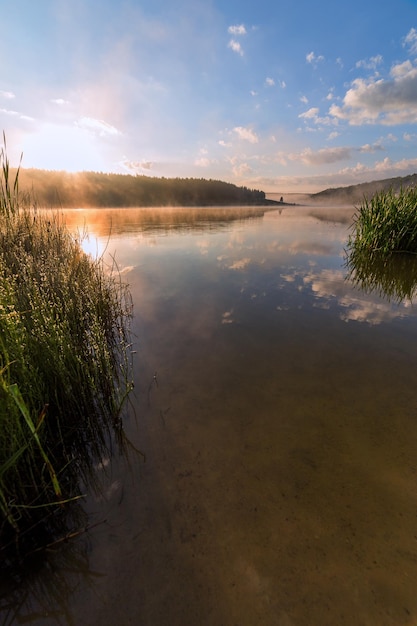 Nevoeiro à beira do lago ao nascer do sol com grama alta