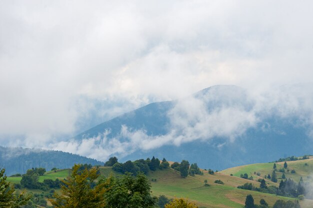 Nevoeiro de manhã nas montanhas. floresta, natureza.