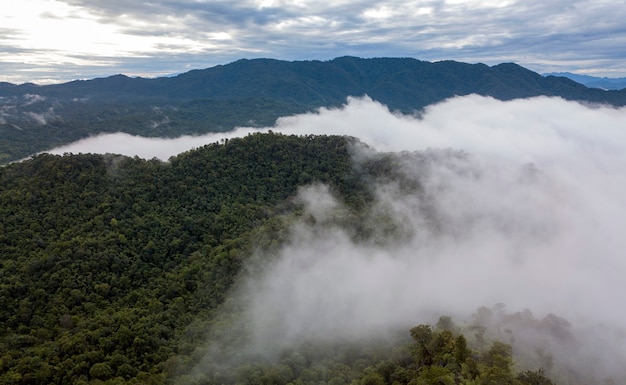 Nevoeiro e nuvens com montanha. Vista do topo