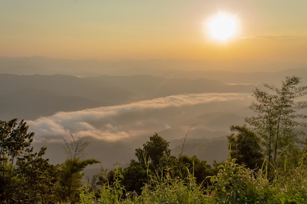 Nevoeiro e sol manhã após a montanha no phu soi dao national park.