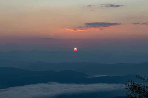 Nevoeiro e sol manhã após a montanha no phu soi dao national park.