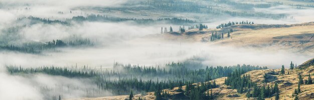 Nevoeiro em um vale de montanha, vista panorâmica