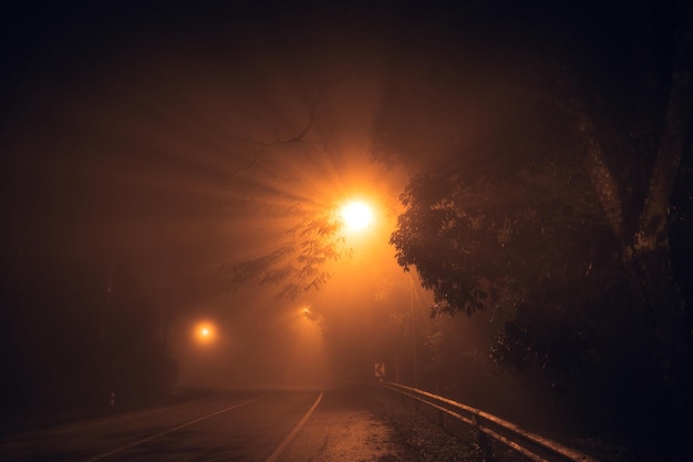 Nevoeiro na estrada à noite e laranjeiras