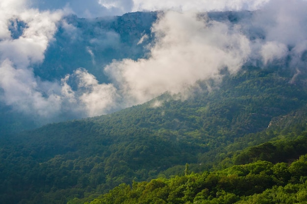 Nevoeiro na montanha