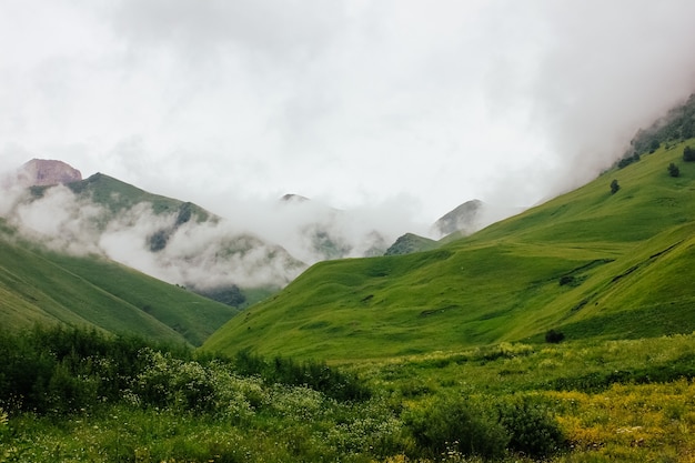 Nevoeiro nas encostas da montanha