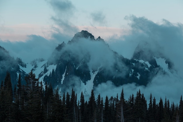 nevoeiro nas montanhas