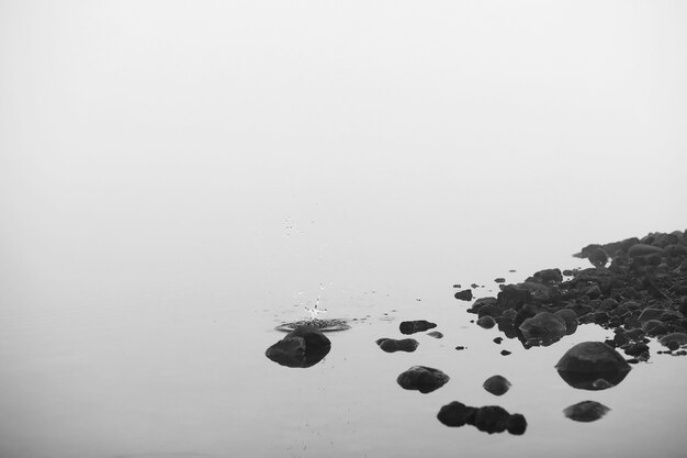 Nevoeiro no lago. Água da natureza da manhã e névoa branca.