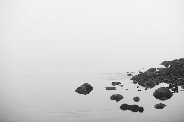 Nevoeiro no lago. Água da natureza da manhã e névoa branca.