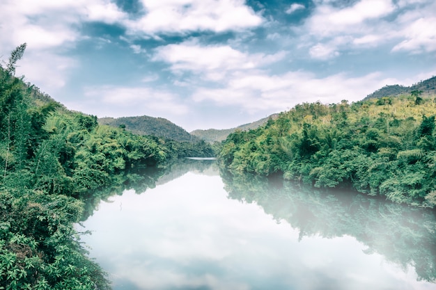 Nevoeiro no rio, o meio ambiente e floresta tropical