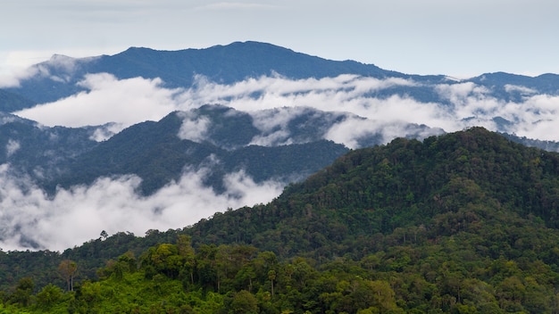 Foto nevoeiro passo entre a montanha