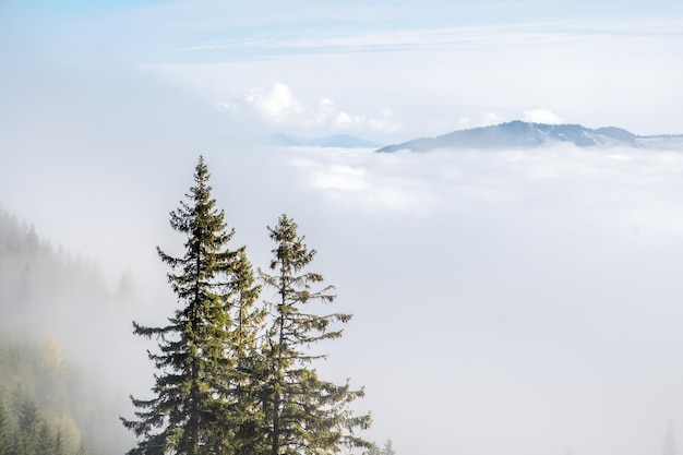 Nevoeiro pesado acima da névoa das montanhas em alta altitude