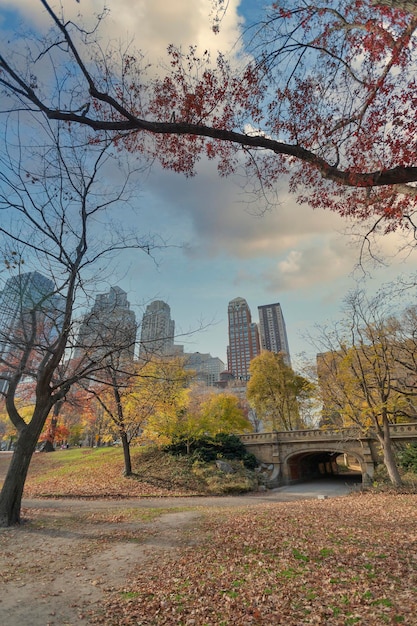 Foto new york city-manhattan-skyline usa