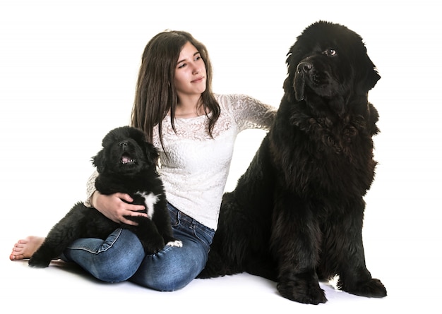 Newfoundland perros y adolescentes