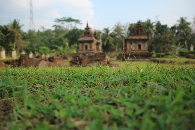 Ngempon-Tempel einer der vielen Tempel der alten Zivilisation auf der Insel Java, Indonesien