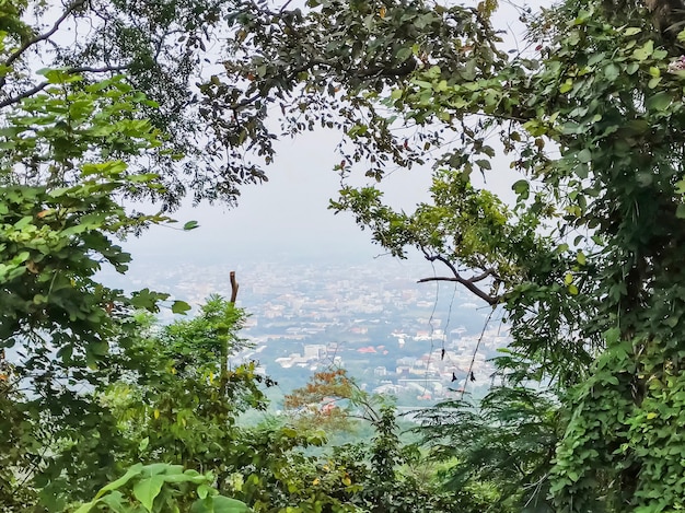 Ângulo alto de Chiang Mai, Tailândia na moldura da árvore no ponto de vista em Doi Suthep.