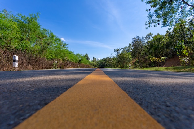 Ángulo bajo del medio de la carretera recta con arbustos y árboles en ambos lados