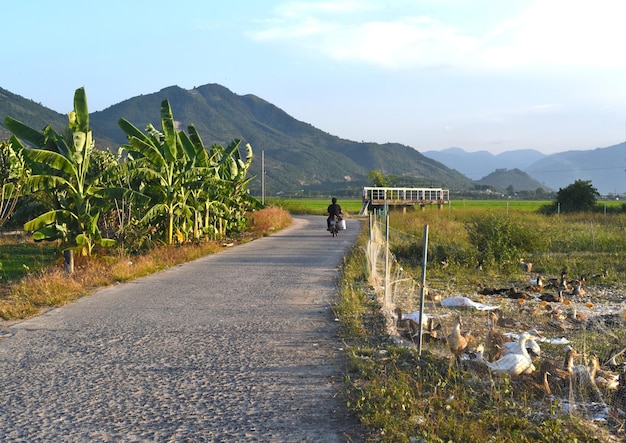 Nha Trang Vietnam 20 de junio de 2022 campo vietnamita antes de la puesta del sol