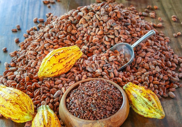 Los nibs de cacao son granos de cacao que se han molido en frío o se han molido a bajas temperaturas.