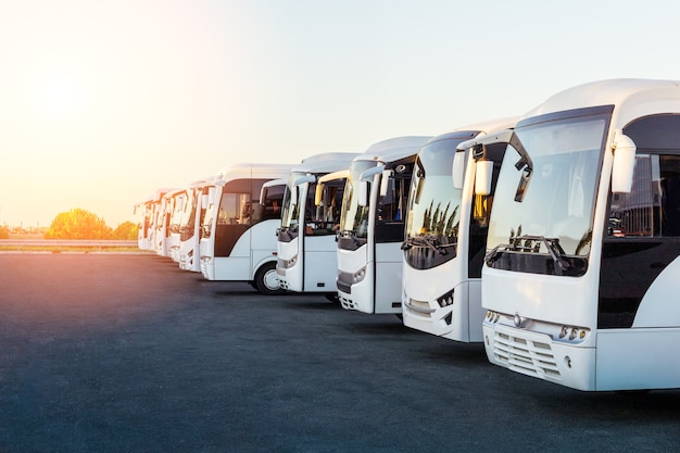 Ônibus turísticos no estacionamento ao amanhecer ou ao pôr do sol.