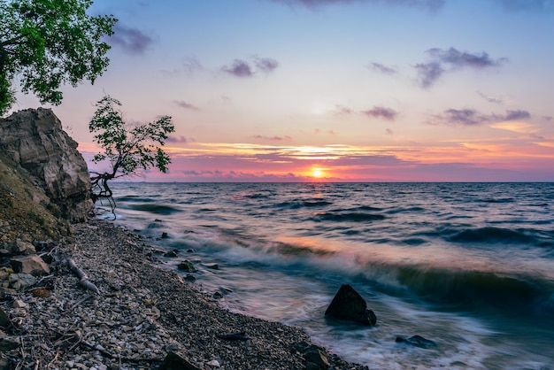 Única árvore na costa rochosa ao nascer do sol de verão