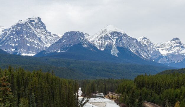 Nicholas morants curve auf der pacific railway mit three sisters rocky mountains in banff kanada