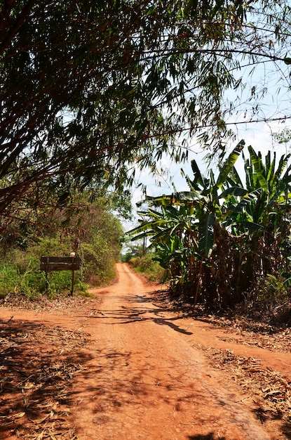 Nicht-Asphalt Lateritische Straße oder Laterit Rouge Böden rote Erde Straße auf Khao Thewada Mountain für Fahrzeug Offroad-Reise nach Ban Taphoen Khi Dorf im Phu Toei Nationalpark in Suphan Buri Thailand