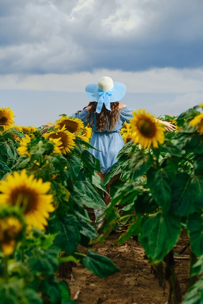 Nicht erkennbare Frau, die durch das Sonnenblumenfeld läuft und die Hände an den Seiten ausbreitet. Junge Frau im blauen Kleid, das freudige Gefühle zeigt.