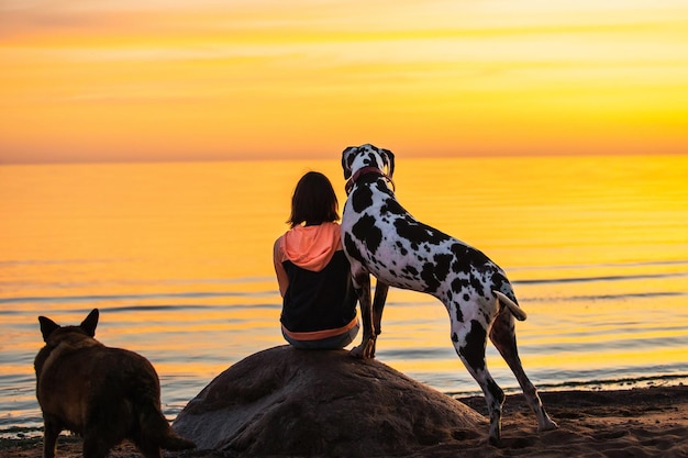 Nicht erkennbare Frau mit Hunden, die den Sonnenuntergang am Strand beobachten