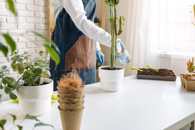 Nicht erkennbare weibliche Transplantationshauspflanze hautnah, Gartenhobby