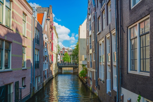 Único Amsterdam Canal estrecho de Amsterdam con antiguas casas tradicionales en el agua Un hermoso día soleado