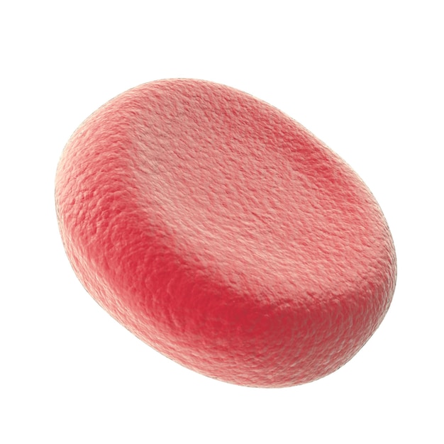 Único glóbulo vermelho isolado no fundo branco. ilustração 3D de alta qualidade