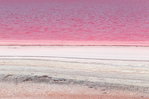 Único lago rosa salado en Crimea.