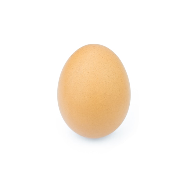 Único ovo de galinha marrom isolado no branco