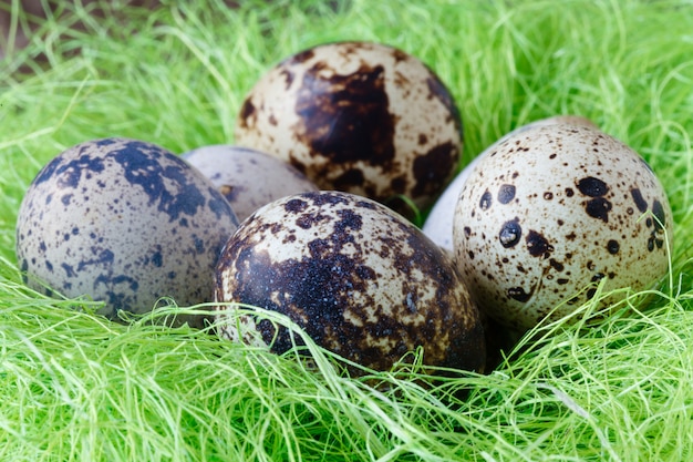 Nido festivo de Pascua con huevos de codorniz