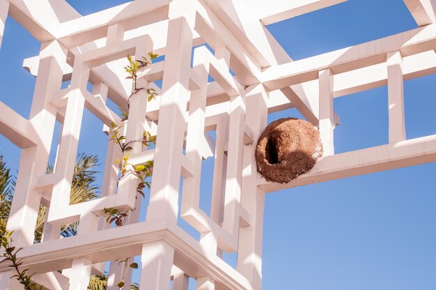 Foto nido de hornero en estructura metálica