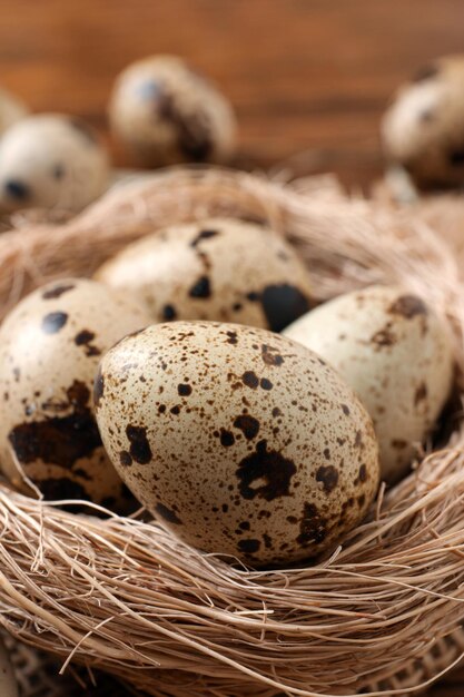 Nido con huevos de codorniz en primer plano de la mesa