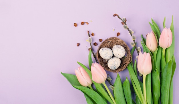 Nido con huevos pequeños y tulipanes rosas sobre un fondo de color púrpura, tarjeta de felicitación navideña de pascua