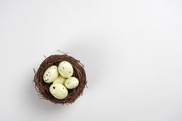 Foto nido con huevos sobre fondo blanco.