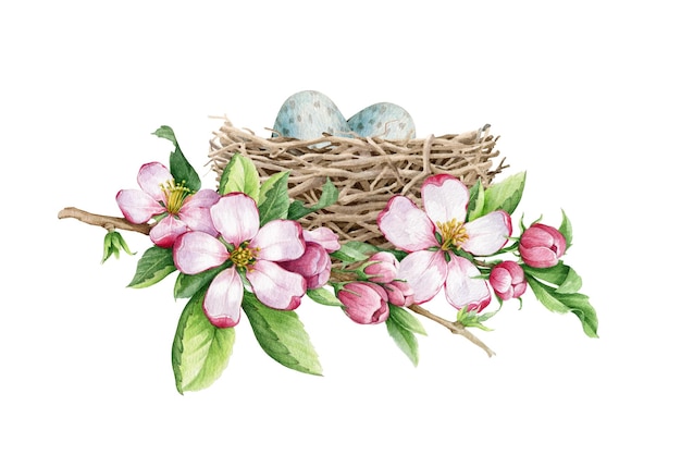 Foto nido de pájaro en flores de primavera ilustración acuarela elemento de jardín de primavera nido de pájaro dibujado a mano