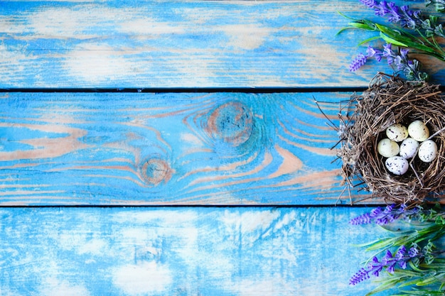 Un nido de pájaro con huevos de codorniz en el interior y flores de salvia sobre un fondo de madera azul desgastado.