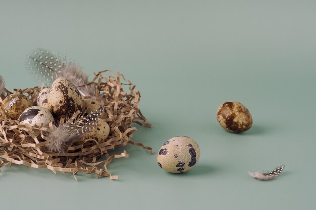 Nido de Pascua hecho de heno con huevos de codorniz y plumas sobre un fondo azul, primer plano. Composición de Pascua en colores pastel. Fondo de Pascua natural, diseño creativo.