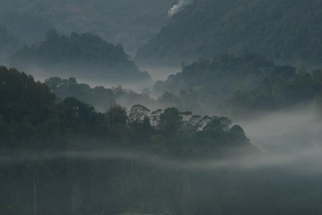 Niebla abrumada sobre un valle al amanecer