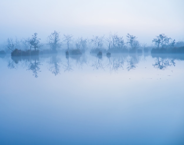 Niebla en el agua