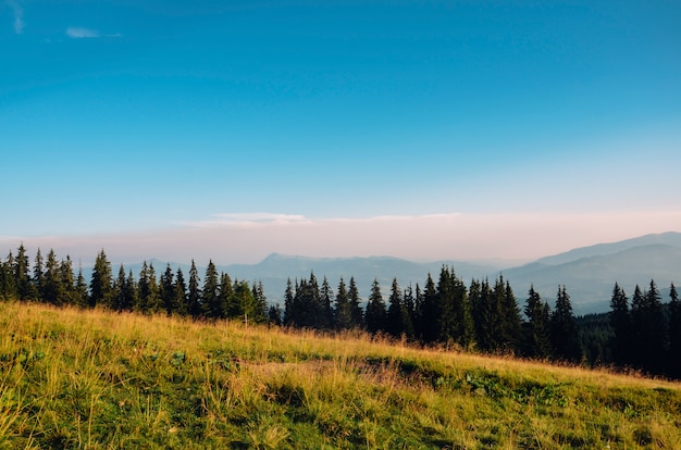 Niebla al atardecer en las montañas con árboles