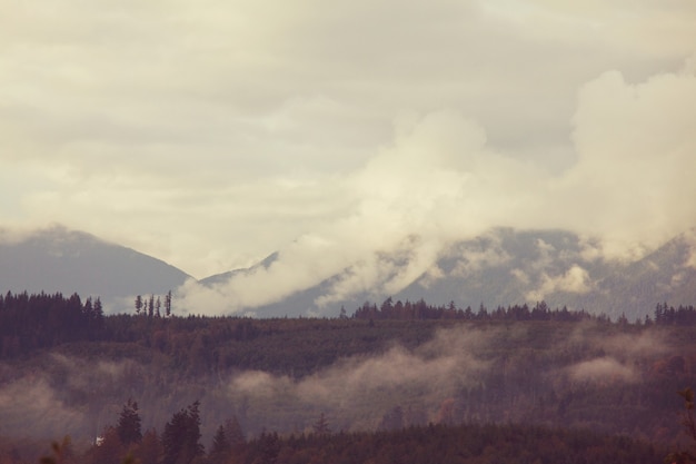 Niebla en las altas montañas